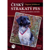Český strakatý pes - Dagmar Jeřábková