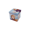 Úložný box s vrchnákom / taburetka 2v1 DISNEY FROZEN 2, WD12905