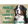 Pozorpes.sk, výstražná tabuľka (Bernský salašnícky pes)