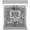 Ernie Ball 2406 Ernesto Palla Black & Silver