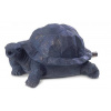 Dekorácie Pontec Water Spout Turtle (36778)