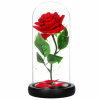 Springos HA5156 VEČNÁ RŮŽA V SKLE