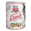 Brit Care Cat Snack Superfruits Lamb 100g