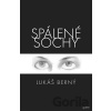 Spálené sochy - Lukáš Berný