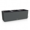 Truhlík Lechuza Trio 30 (100x32cm) Cottage Barva: Antracit kompletný set