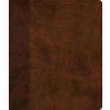 ESV Journaling Bible