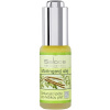 Saloos Moringový olej 20 ml