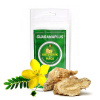 GUARANAPLUS Kotvičník + Maka prášok 100g - 100 g