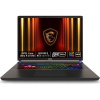 MSI Vector 17 HX AI (A2XWJG-031CZ) sivý