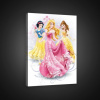 Obraz na plátne obdĺžnik - OB1716 - Disney princezny 60cm x 40cm - O4