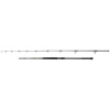Penn Regiment IV Uptide 3,04 m 70-300 g 2 Diely