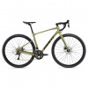 Giant Revolt 2 2024