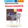 Můj pracovní sešit Úžasná bludiště - Toshihiki Karakido; Yoshiko Murakami; Masako Watan