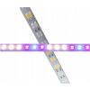 Lampa na pestovanie rastlín - LED pásik 5730 IP20 1M 144 LED Full Spectrum II (LED pásik 5730 IP20 1M 144 LED Full Spectrum II)