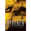 S.T.A.L.K.E.R.: Shadow of Chernobyl