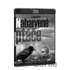 Nabarvené ptáče BD