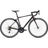 GIANT CONTEND 1 2022 - M
