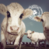 Steve'n'seagulls - Grainsville / Vinyl [LP]