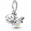 PANDORA Moments Passions 799352C01 (Ag 925/1000, 2 g)