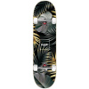 skateboard ALOIKI KUTA COMPLETE 7.75