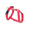 Amiplay Samba Nastaviteľný postroj Guard - XL 45-85 [b] 65-95 [d] x 2,5 cm - Červená