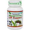 Planet Ayurveda Liv Support