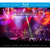 Flying Colors - Second Flight Live At The Z7 / 2CD+BRD / Digipac [CD / LP]