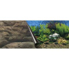 EBI Photo Decor Sea + Rock 120 x 50cm (EBI Photo Decor Sea + Rock 120 x 50cm)