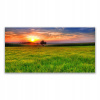 Foto -podobná s 140x70 Print Meadow Sun Nature (Foto -podobná s 140x70 Print Meadow Sun Nature)