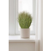eshop-kvetinace.sk Umelá tráva v krémovom kvetináči RELVA, plast, výška 80 cm, zelená