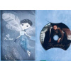 Tři oříšky pro Popelku - DVD /dárkový obal/