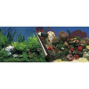 EBI Photo Decor Stone + Coral 60 x 30cm (EBI Photo Decor Stone + Coral 60 x 30cm)