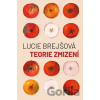 Teorie zmizení - Lucie Brejšová