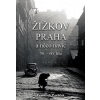 Žižkov, Praha a něco navíc - František Pavlíček