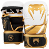 Venum MMA Challenger 3.0 Sparring