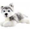 Husky plyšový ležiaci 23 cm - ECO-FRIENDLY