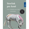 Strečink pro koně - Higginsová Gillian