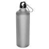 Fľaša s karabínkou (800 ml) , Black Farba: Grey