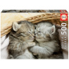 Puzzle Sweet Kittens Educa 500 dielov a Fix lepidlo v balení od 11 rokov