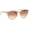 Ray-Ban RB4305 616613 53