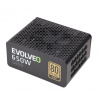EVOLVEO G650 zdroj 650W, eff 90%, 80+ GOLD, aPFC, modulární, retail E-G650R