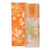 Elizabeth Arden Green Tea Nectarine Blossom toaletná voda dámska 100 ml