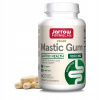 Výživový doplnok Jarrow Formulas Mastic Gum 60 kapsúl