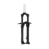 Vidlica RAIDON34 Boost EQ DS 2CR 120 15AH2 29 CTS čierna matná