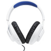 JBL Quantum 100P