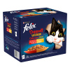 Felix Fantastic (