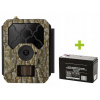 OXE Hornet 4G