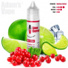 Příchuť Adams vape S&V: Lime Currant (Rybíz s limetkou na ledu) 10ml