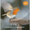 Ptáci v parcích a zahradách - autor neuvedený