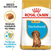 Royal Canin Puppy Jazvečík granule pre šteniatka 1,5 kg